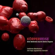 Cover von Körperreise - Eine Weltreise durch Deine Organe