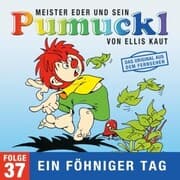 Cover von 37: Ein föhniger Tag (Das Original aus dem Fernsehen)