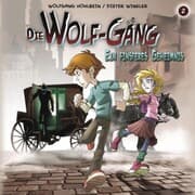 Cover von 02: Ein finsteres Geheimnis
