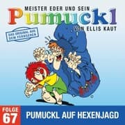 Cover von 67: Pumuckl auf Hexenjagd (Das Original aus dem Fernsehen)