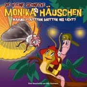 Cover von 17: Warum flattern Motten ins Licht?