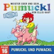 Cover von 16: Pumuckl und Puwackl (Das Original aus dem Fernsehen)