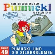 Cover von 49: Pumuckl und die Silberblumen (Das Original aus dem Fernsehen)