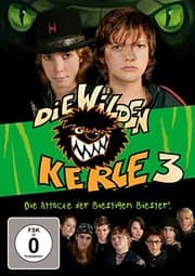 Cover von Die wilden Kerle 3