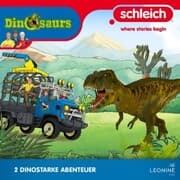 Cover von Folgen 39-40: Der unbekannte See