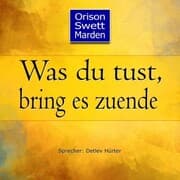 Cover von Was du tust, bring es zuende