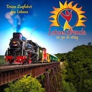 Cover von Deine Zugfahrt des Lebens