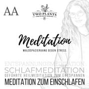 Cover von Waldspaziergang gegen Stress - Meditation AA - Meditation zum Einschlafen