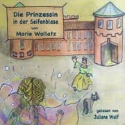 Cover von Die Prinzessin in der Seifenblase