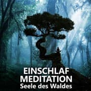 Cover von Einschlafmeditation , Seele des Waldes