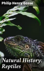 Cover von Natural History: Reptiles