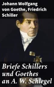 Cover von Briefe Schillers und Goethes an A. W. Schlegel