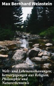 Cover von Welt- und Lebenanschauungen; hervorgegangen aus Religion, Philosophie und Naturerkenntnis