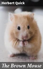 Cover von The Brown Mouse