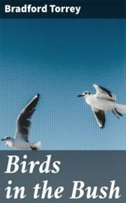 Cover von Birds in the Bush