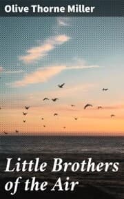Cover von Little Brothers of the Air