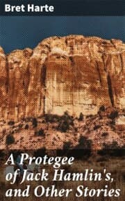 Cover von A Protegee of Jack Hamlin's, and Other Stories