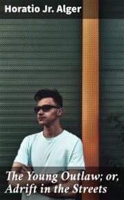 Cover von The Young Outlaw; or, Adrift in the Streets