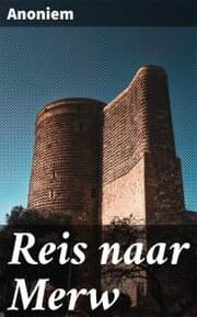 Cover von Reis naar Merw