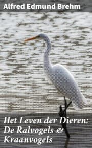 Cover von Het Leven der Dieren: De Ralvogels & Kraanvogels