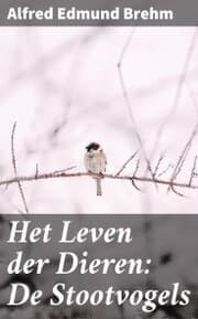 Cover von Het Leven der Dieren: De Stootvogels