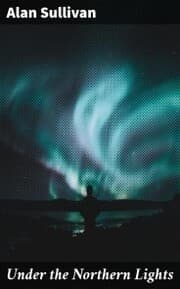 Cover von Under the Northern Lights