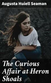 Cover von The Curious Affair at Heron Shoals