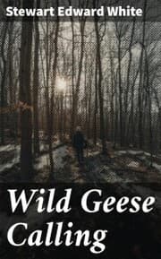 Cover von Wild Geese Calling