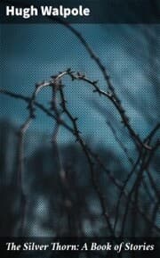 Cover von The Silver Thorn: A Book of Stories