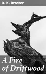Cover von A Fire of Driftwood