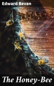 Cover von The Honey-Bee