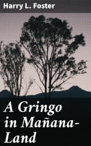 Cover von A Gringo in Mañana-Land