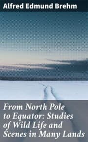 Cover von From North Pole to Equator: Studies of Wild Life and Scenes in Many Lands