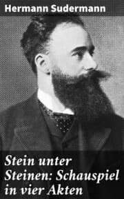Cover von Stein unter Steinen: Schauspiel in vier Akten