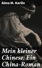 Cover von Mein kleiner Chinese: Ein China-Roman