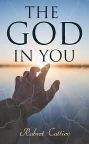 Cover von The God in You