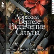 Cover von Rassechenie Stouna