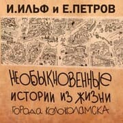 Cover von Neobyknovennye istorii iz zhizni goroda Kolokolamska