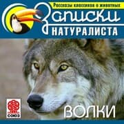 Cover von Volki