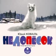 Cover von Nedopyosok