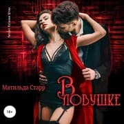 Cover von V lovushke
