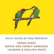 Cover von Nature Sounds for Deep Relaxation: Song Birds, Water & Forest Ambience, Bird Calls, Calming & Healing Music
