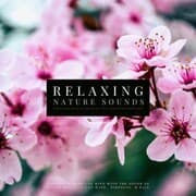 Cover von Ultimate Relaxing Nature Sounds with Relaxing Music for Meditation, Study, Mindfulness & Deep Sleep