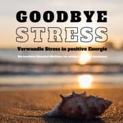 Cover von Goodbye Stress: Verwandle Stress in positive Energie (Stressreduktion, Stressmanagement)