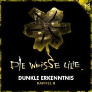 Cover von 11: Dunkle Erkenntnis - Kapitel II