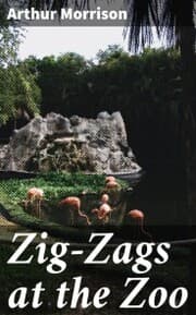 Cover von Zig-Zags at the Zoo