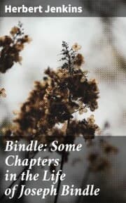 Cover von Bindle: Some Chapters in the Life of Joseph Bindle