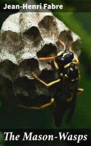 Cover von The Mason-Wasps