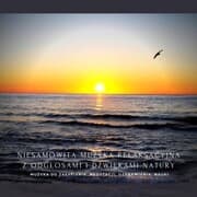 Cover von Niesamowita muzyka relaksacyjna z odglosami i dzwiekami natury o czestotliwosci 432 Hz