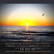Cover von Musique de relaxation douce composée de sons et bruits de la nature en 432 Hz